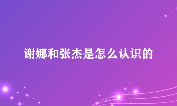 谢娜和张杰是怎么认识的
