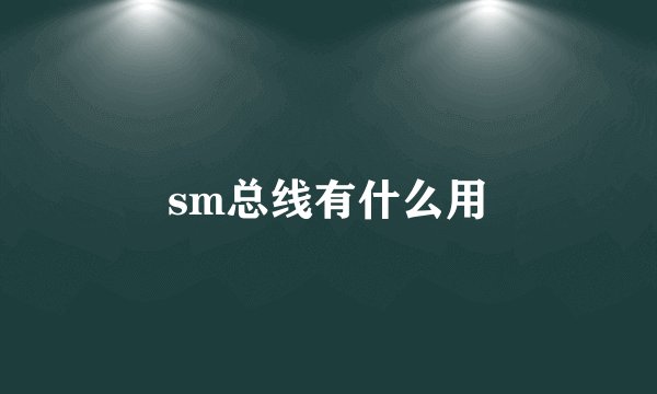 sm总线有什么用