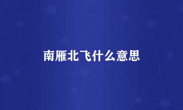 南雁北飞什么意思