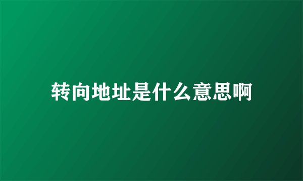 转向地址是什么意思啊