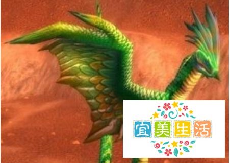 怀旧服lr宝宝怎么选择