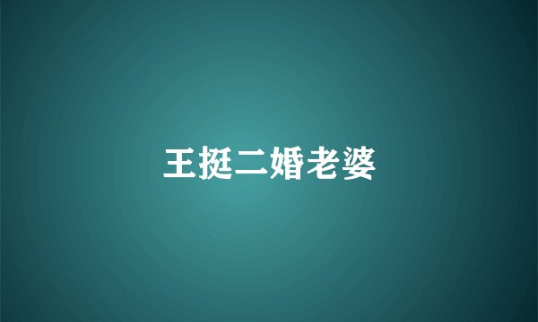 王挺二婚老婆