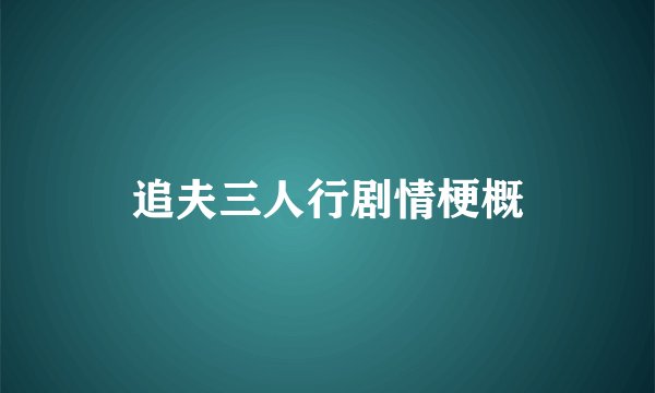 追夫三人行剧情梗概